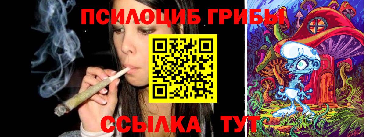 Галлюциногенные грибы GOLDEN TEACHER Магадан
