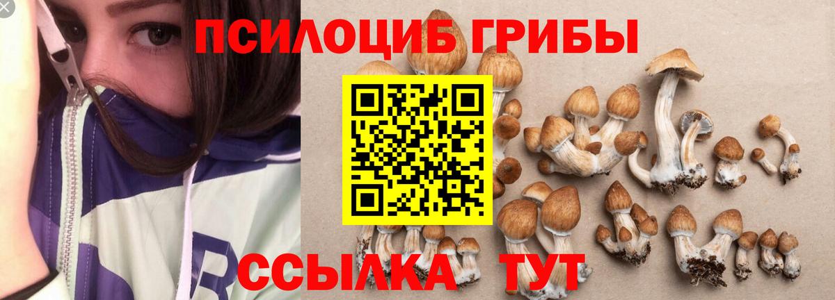 Псилоцибиновые грибы MAGIC MUSHROOMS  Вход с VPN  Галлюциногенные грибы Psilocybine cubensis  Магадан 